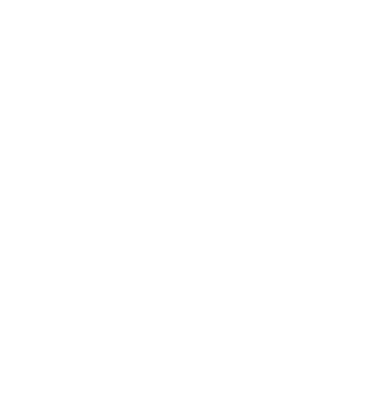 VidBolt Logo